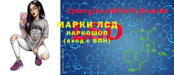 гашик Аркадак