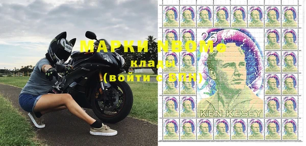 прущие грибы Алзамай