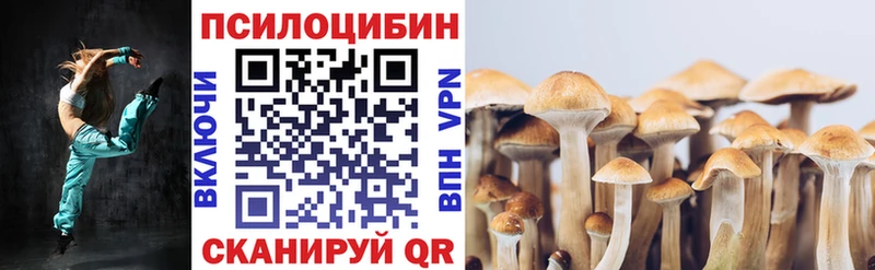 Псилоцибиновые грибы Psilocybe купить закладку Харовск